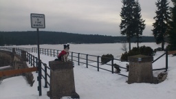 Povánoční Liberec - obrázek