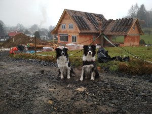 IMG_20180127_101239 (2)