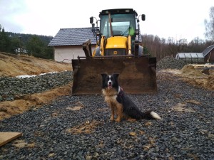 IMG_20180313_084452 (1)