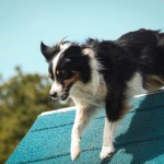 IMG_3524-361